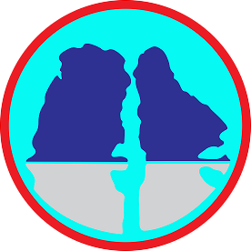 CheckVN