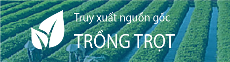 Ngành trồng trọt