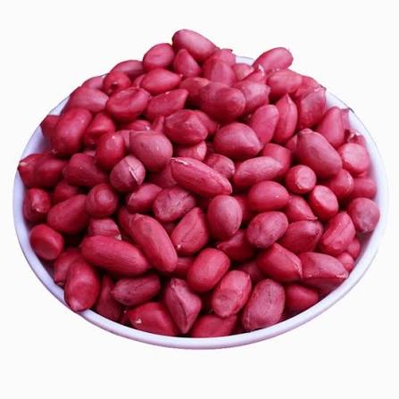 LẠC ĐỎ (ĐẬU PHỘNG ĐỎ)