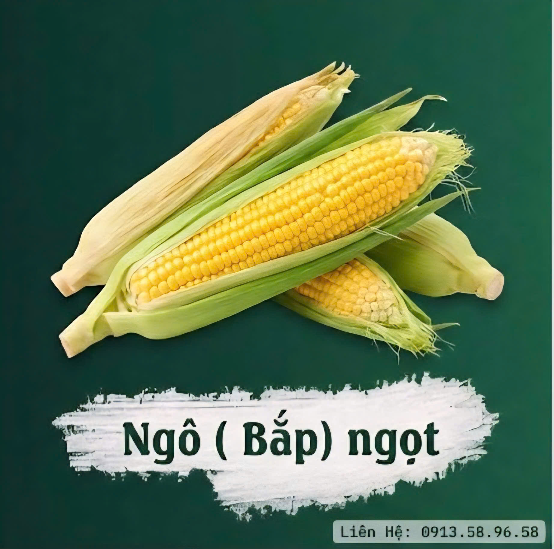 ngô ngọt
