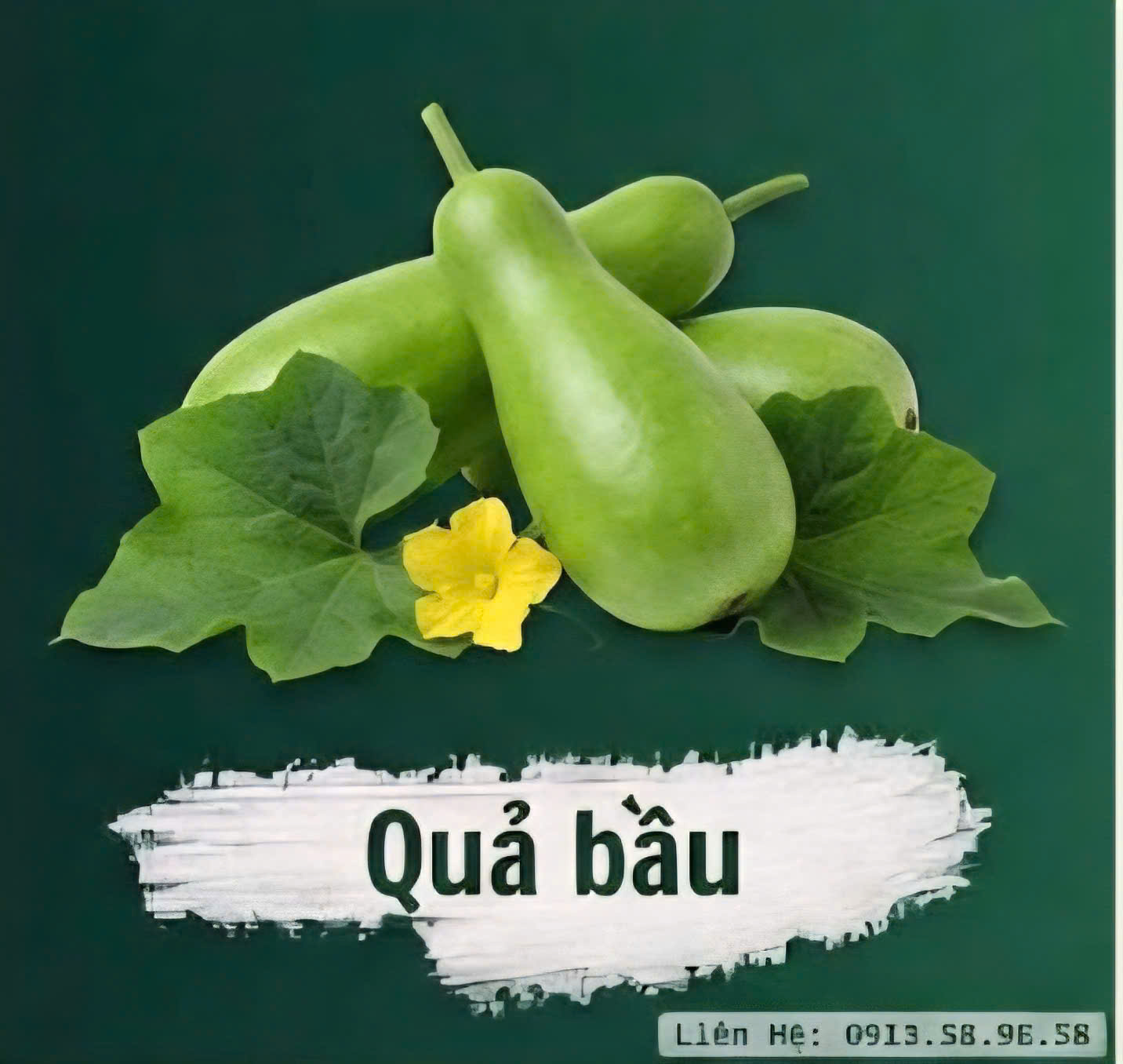 bầu