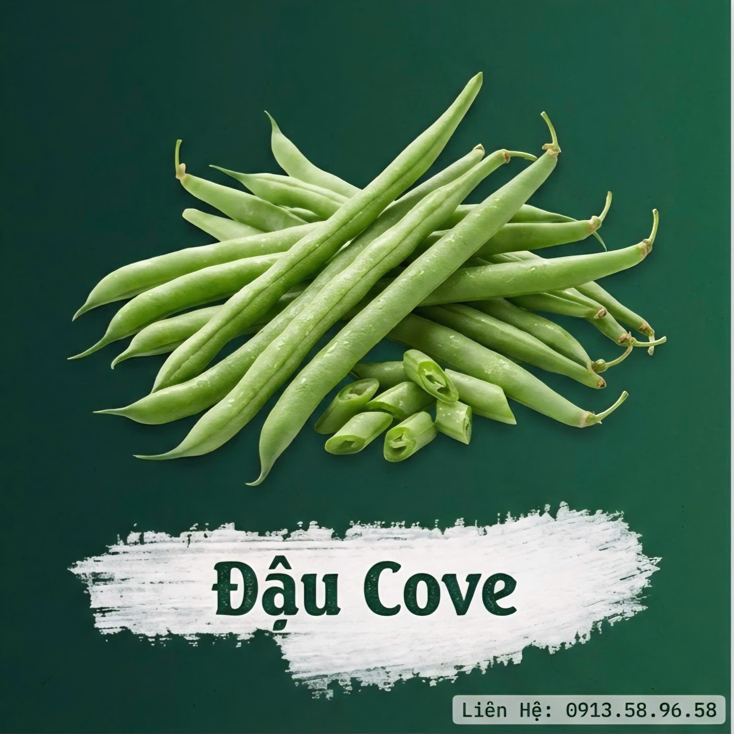 ĐẬU COVE