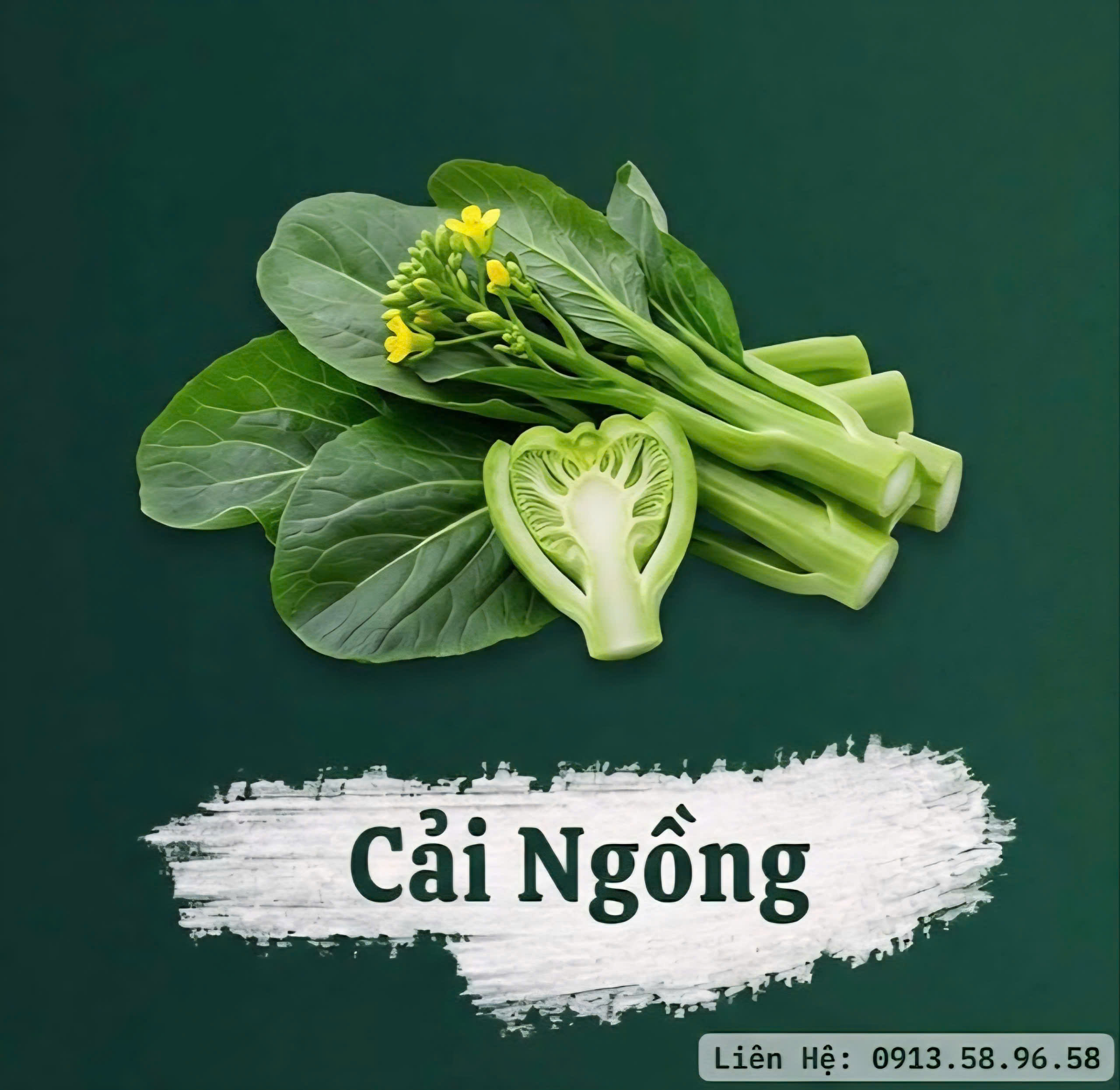cải ngồng
