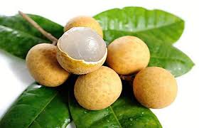 nhãn cùi vân
